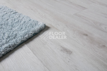 IVC Ultimo (Сlick) IVC Ultimo 24126N фото 5 | FLOORDEALER